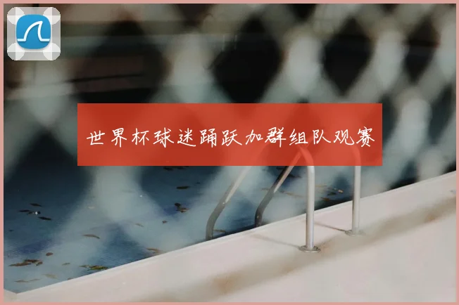 世界杯球迷踊跃加群组队观赛