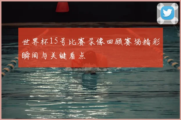 世界杯15号比赛录像回顾赛场精彩瞬间与关键看点
