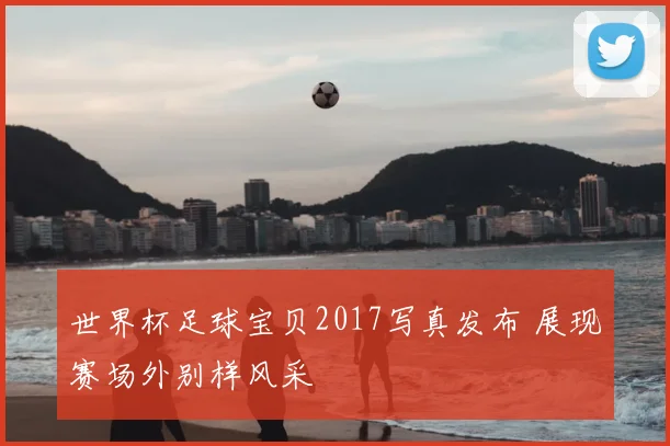 世界杯足球宝贝2017写真发布 展现赛场外别样风采